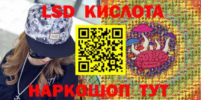 МДПВ Волгодонск