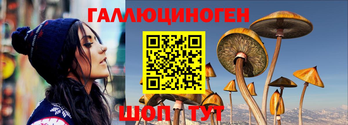 Псилоцибиновые грибы GOLDEN TEACHER Первоуральск
