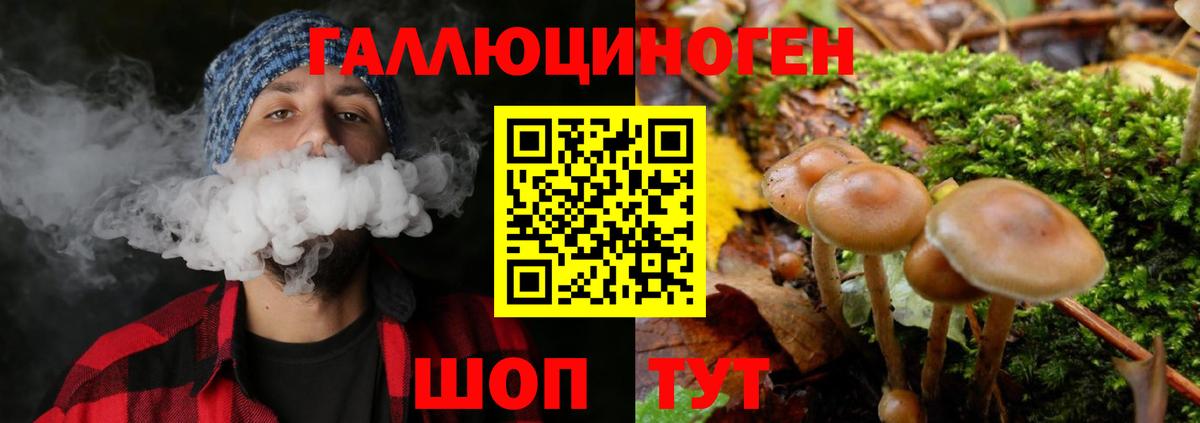 Галлюциногенные грибы MAGIC MUSHROOMS  Псилоцибиновые грибы Psilocybine cubensis  Вход с VPN  Первоуральск 